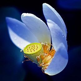 《鬼屋魔影：重制版》IGN 6分：没有特色和令人难忘的时刻